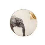 Porland, Wild Life Elephant Bowl 17cm, 04ALM006457