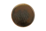 04SWA000237 3
